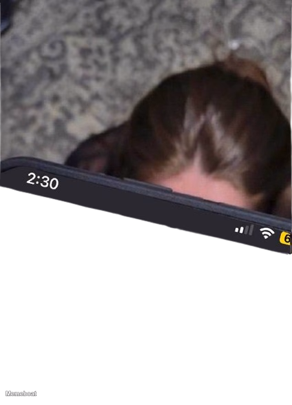 Receiving Head While Watching Phone - meme generator image preview