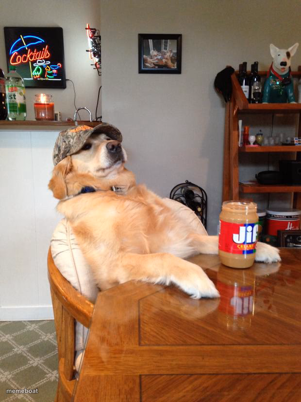 redneck dog - meme generator image preview