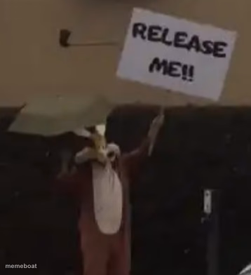 Release me - meme generator image preview