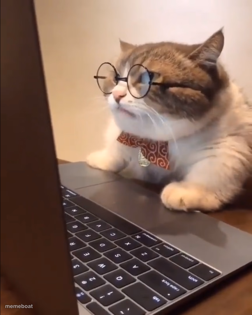 research cat - meme generator image preview