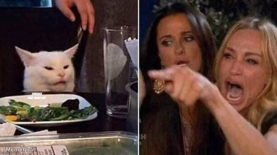 Reverse Smudge that darn cat - meme generator image preview