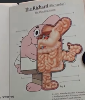 Richard Watterson anatomy - meme generator image preview