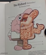 Richard Watterson anatomy