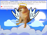 Rip Cheems Help spread the word