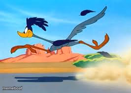 road runner - meme generator image preview