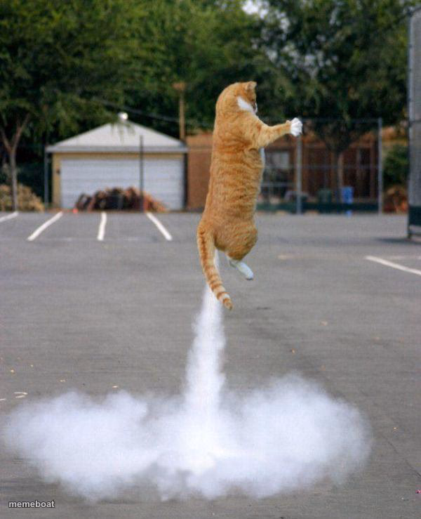 Rocket cat - meme generator image preview