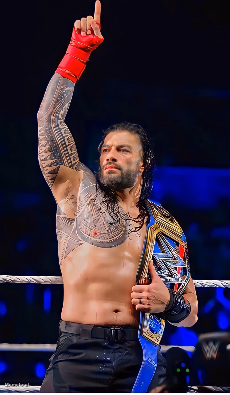 Roman Reigns Acknowledge Me - meme generator image preview