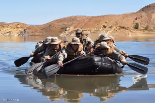 Row row row your boat