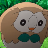 Rowlet Meme Template