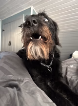 Rufuz