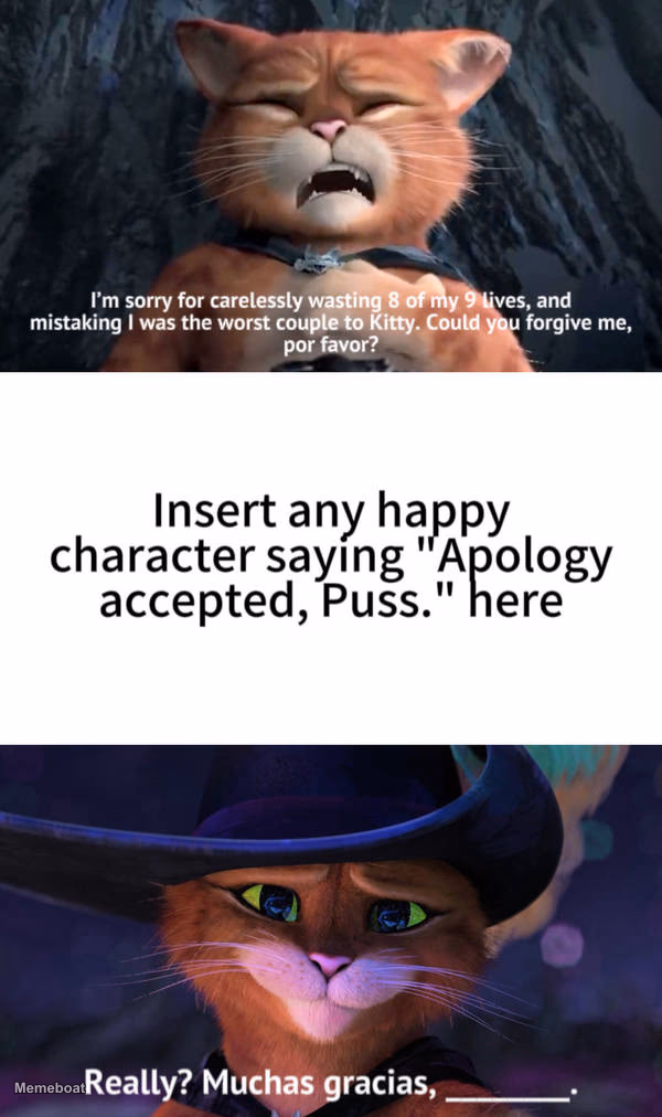 Puss In Boots Apology Accepted - meme generator image preview