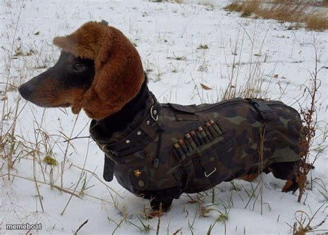 Russian dog - meme generator image preview