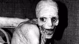 Russian sleep experiment