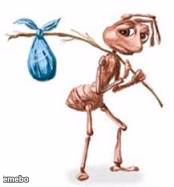 Sad ant with bindle - meme generator image preview