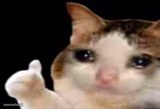 Sad cat thumbs up