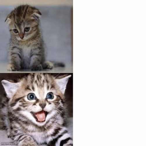 Sad Cat to Happy Cat - meme generator image preview