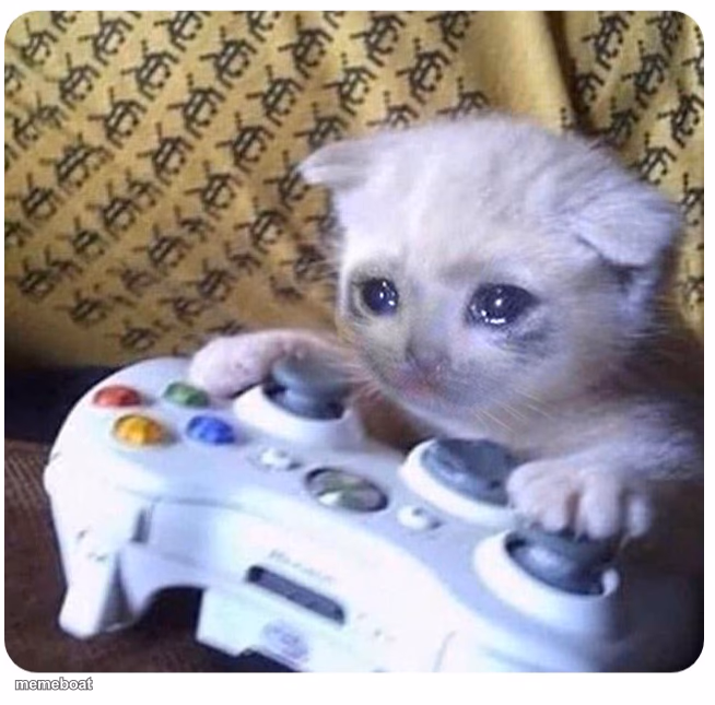 Sad cat Xbox - meme generator image preview
