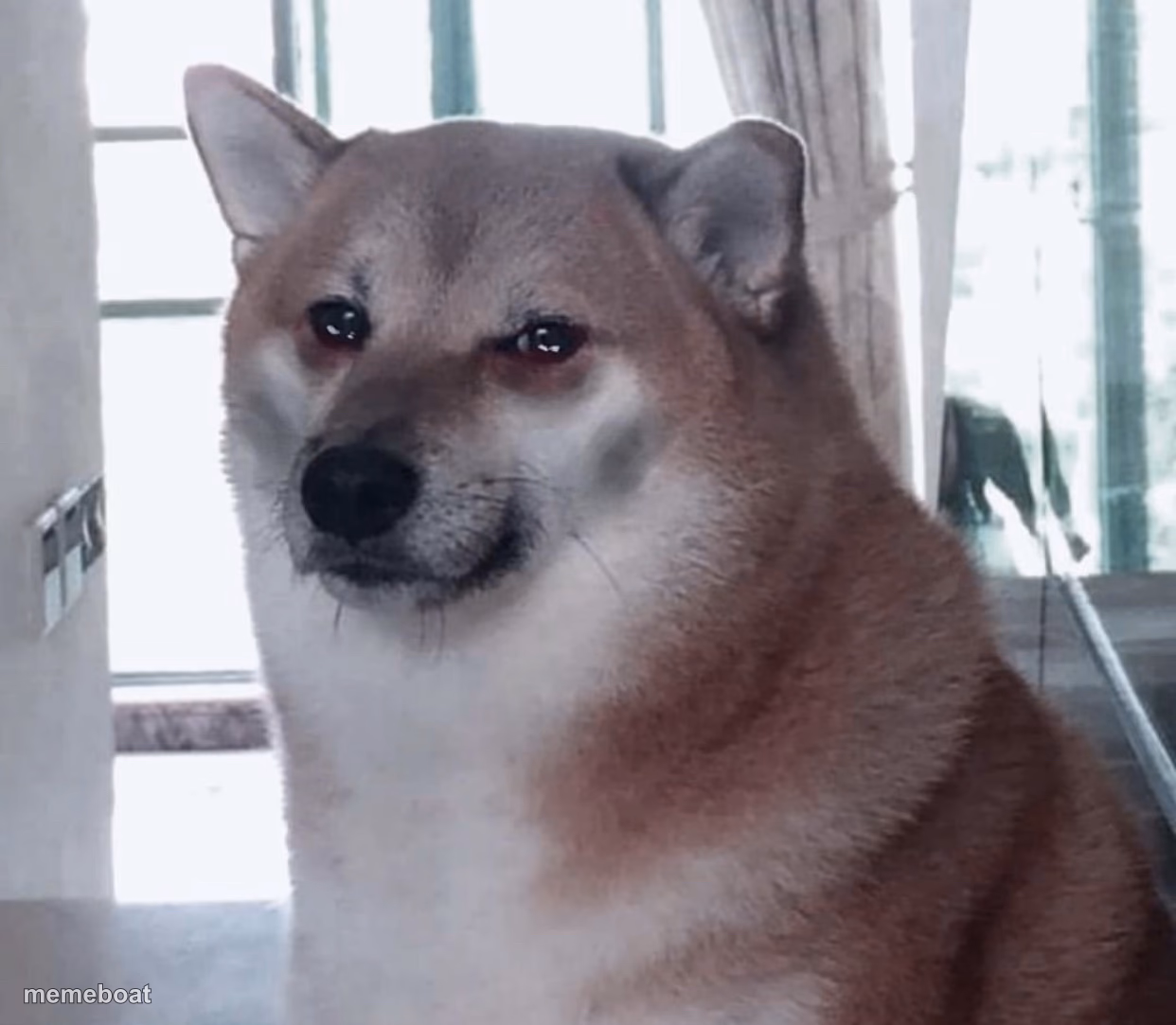 Sad Cheems - meme generator image preview