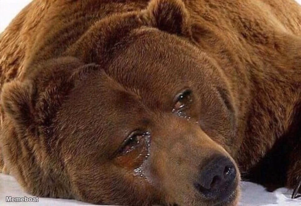 Sad Crying Bear - meme generator image preview