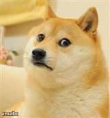 Sad Doge - meme generator image preview