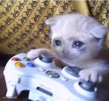 Sad gaming cat - meme generator image preview
