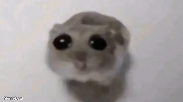 Sad Hamster - meme generator image preview