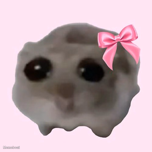 Sad Hamster With Bow - meme generator image preview
