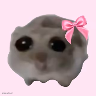 Sad Hamster With Bow