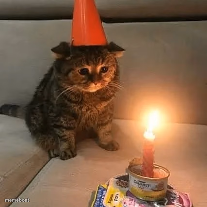 Sad Kitty Alone on Their Birthday - meme generator image preview