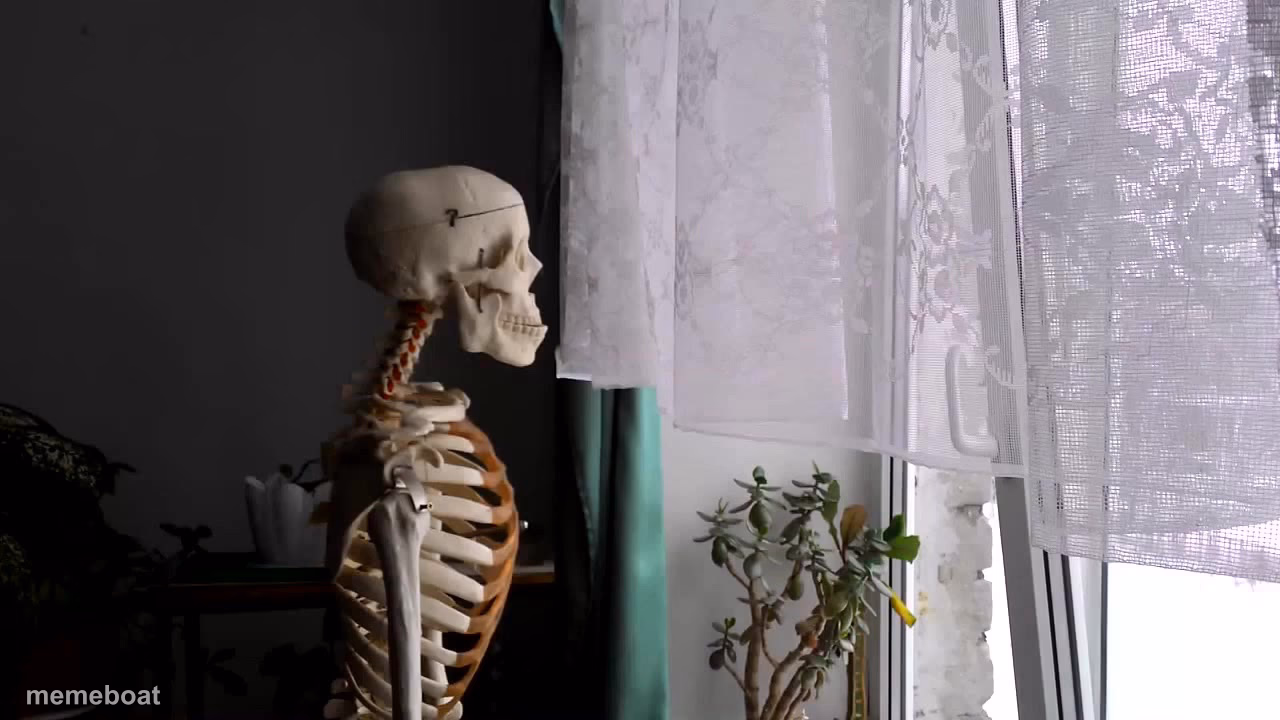 Sad Skeleton - meme generator image preview