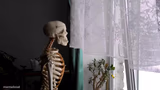 Sad Skeleton
