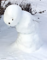 Sad Snowman