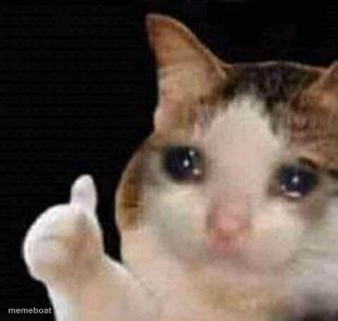 sad thumbs up cat - meme generator image preview