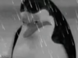 Sadge