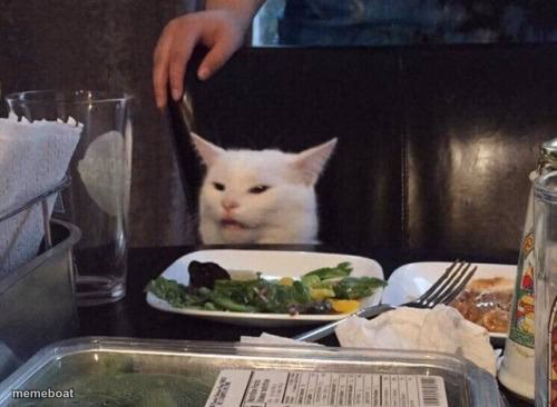 Salad cat - meme generator image preview