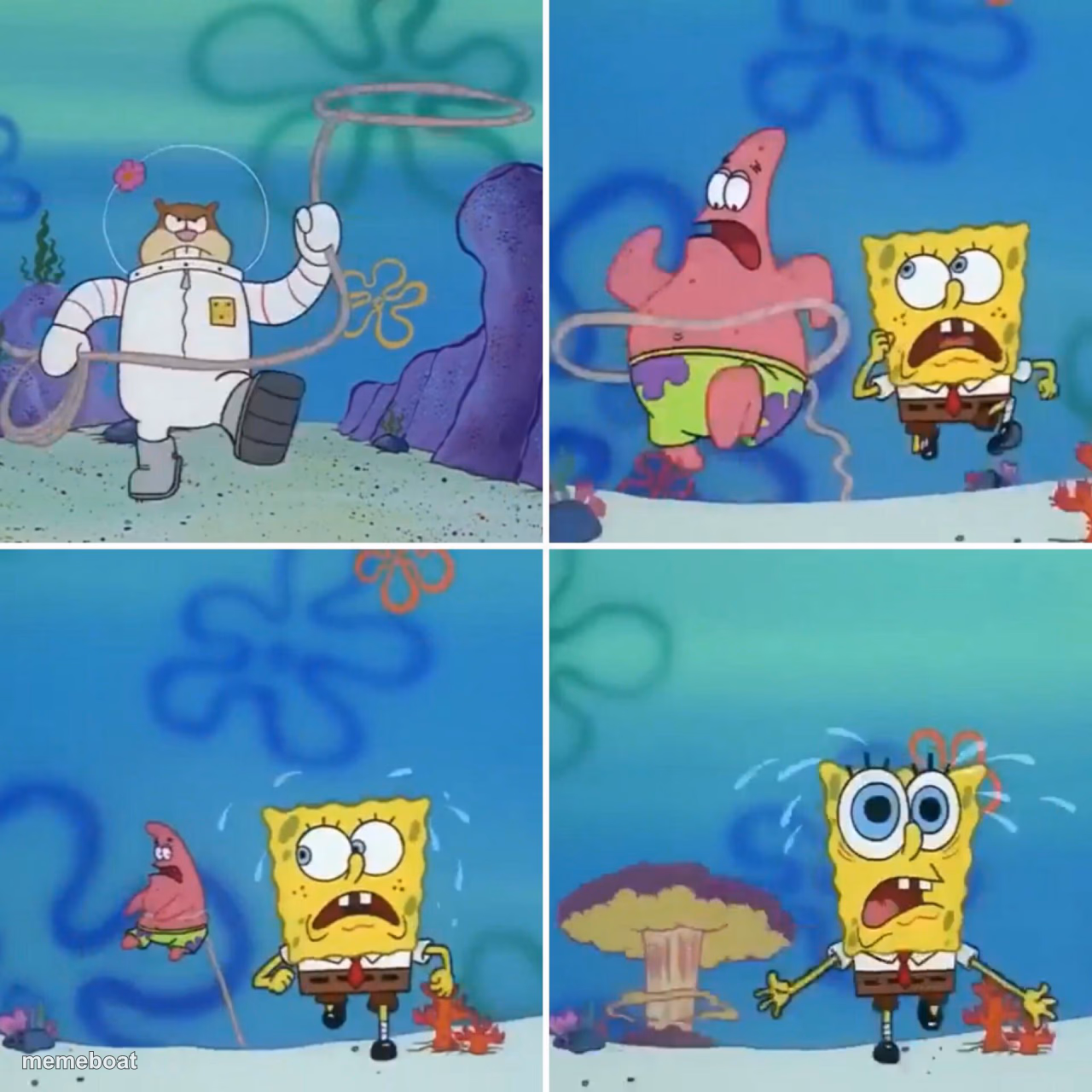 Sandy Lasso - meme generator image preview