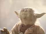 Satisfied Yoda