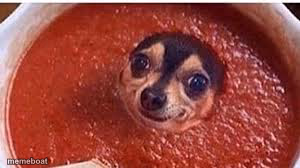 Sauce it up pupper - meme generator image preview