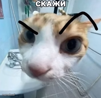 Say ( Blank bottom text ) - meme generator image preview
