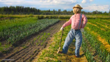 Scarecrow in field