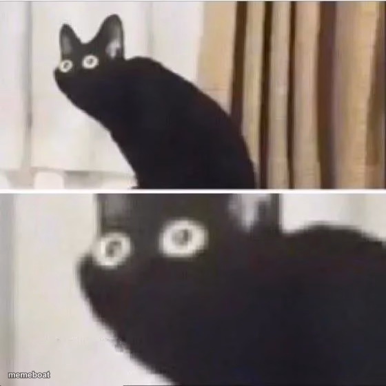 Scared cat - meme generator image preview