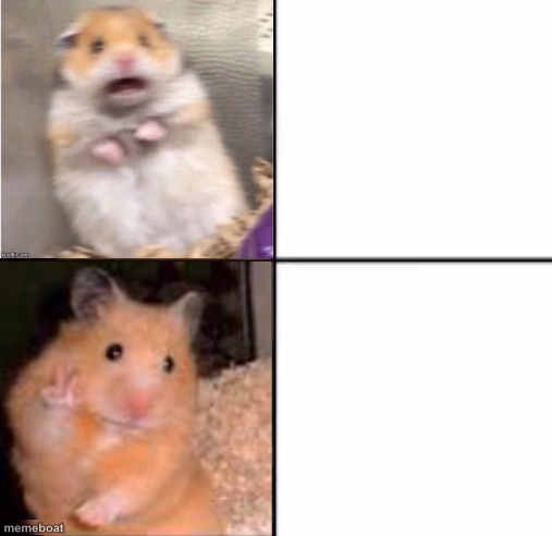 Scared Hamster - meme generator image preview