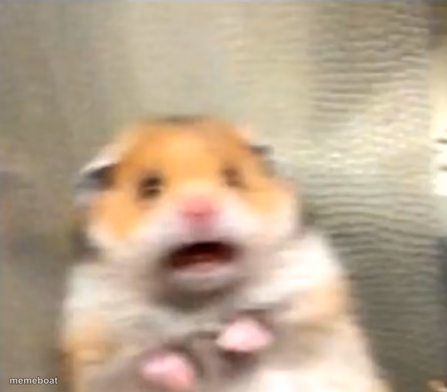 Scared Hamster - meme generator image preview