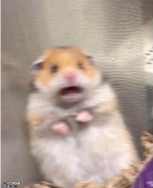 Scared Hamster - meme generator image preview