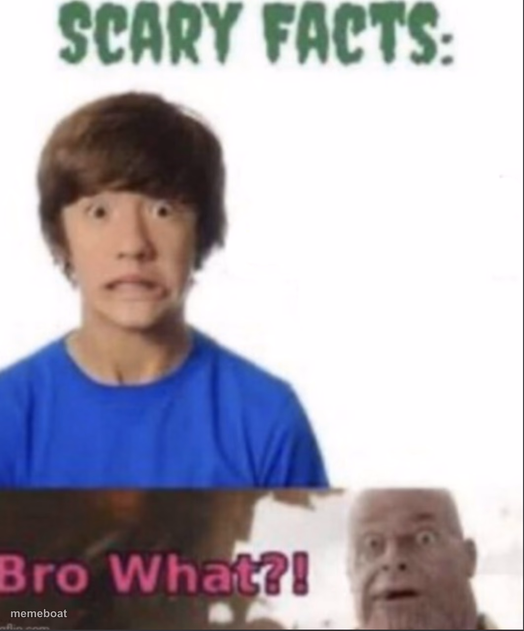 Scary facts - meme generator image preview