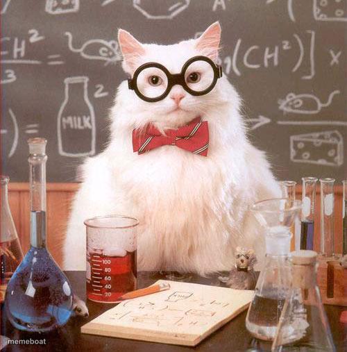 Science Cat - meme generator image preview