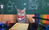 Science Cat