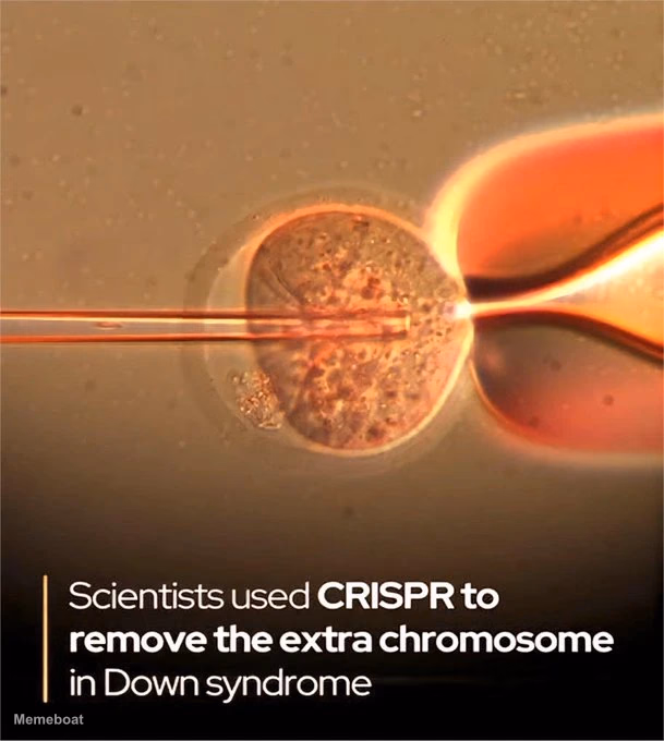 Scientists Used CRISPR to Remove the Extra Chromosome in Down Syndrome - meme generator image preview