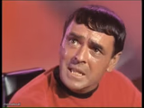 Scotty