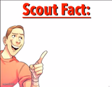 Scout Fact
